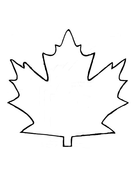 free printable maple leaf template|free maple leaf printable.